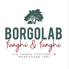Borgolab